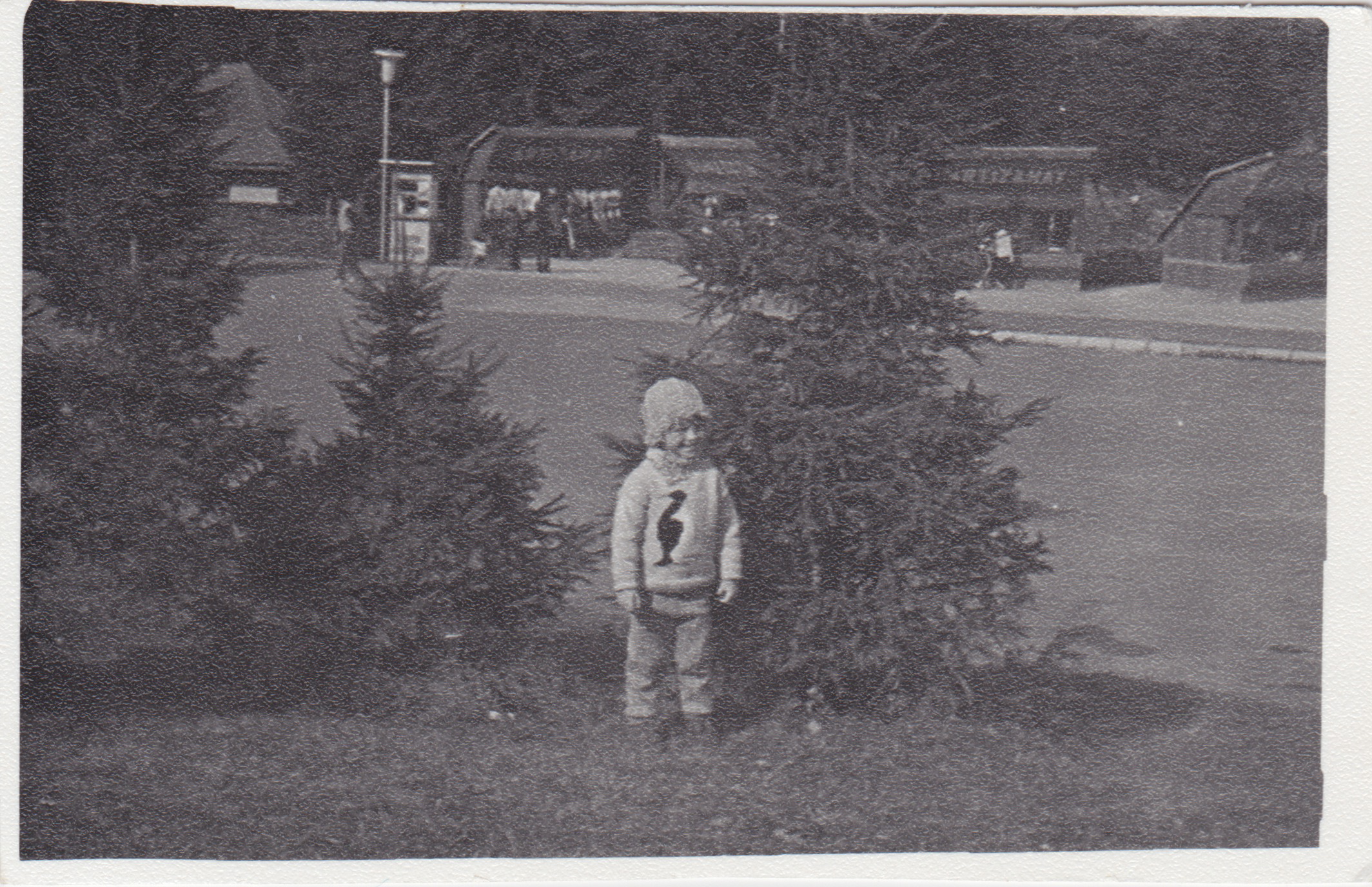 Child standing among young pine trees, a mountain hotel in the background