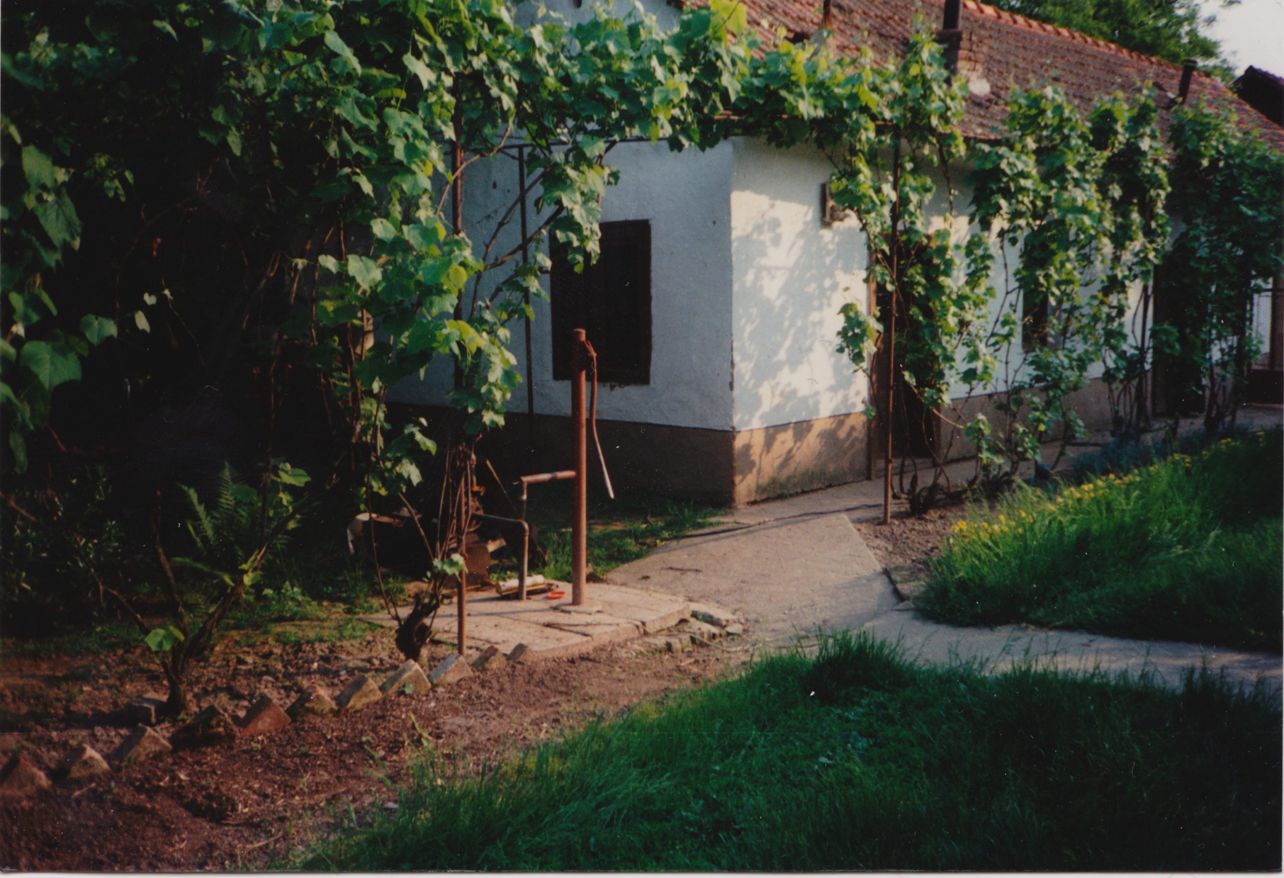 Grandparents' house, vine-covered courtyard